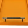 Visual RECTANGULAR TRAY WITH SOLID BRASS HANDLES BRONZE FINISH - COVERED IN GRAINED LEATHER